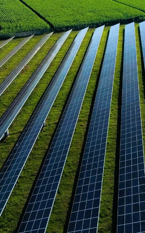 Solutions durables : champ photovoltaïque pour sites industriels